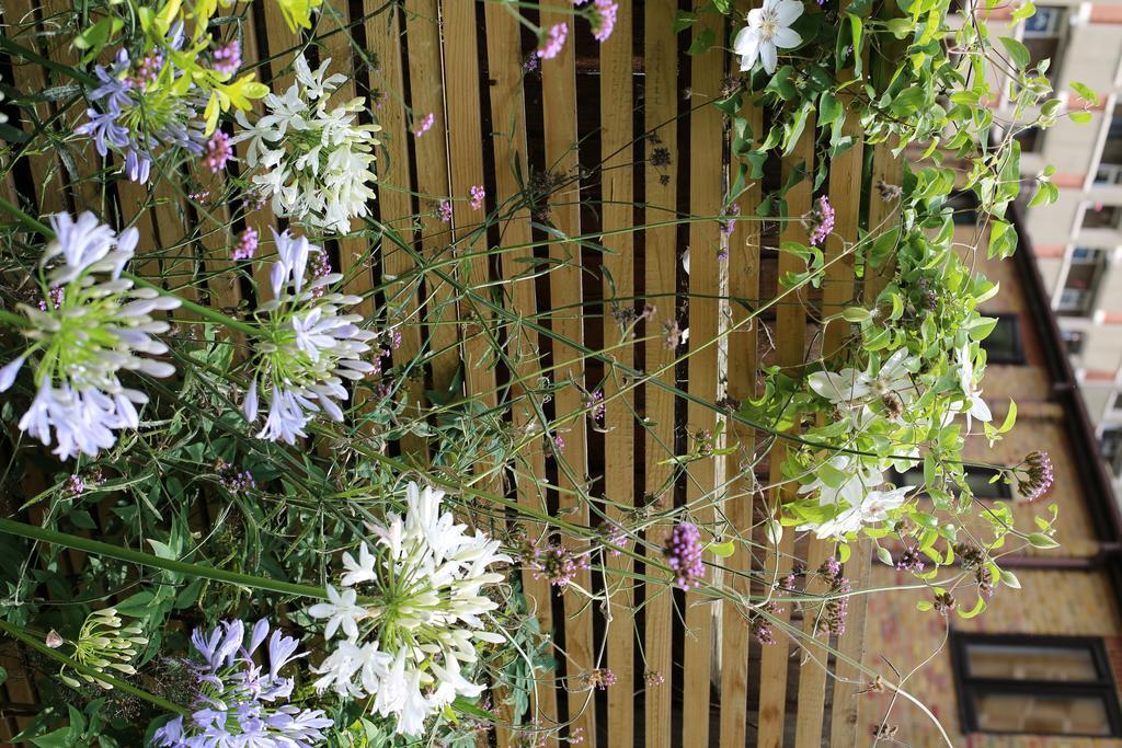 Shoreditch 1 With Garden London Bilik gambar