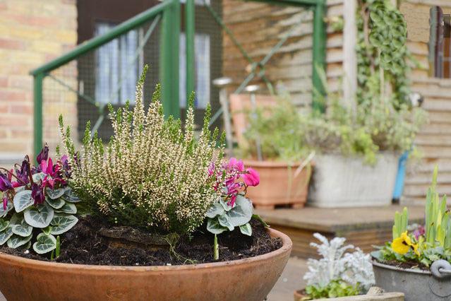 Shoreditch 1 With Garden London Bilik gambar