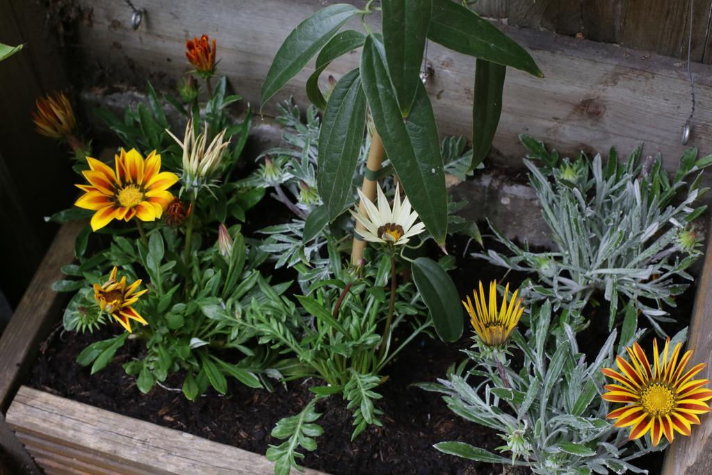 Shoreditch 1 With Garden London Bilik gambar