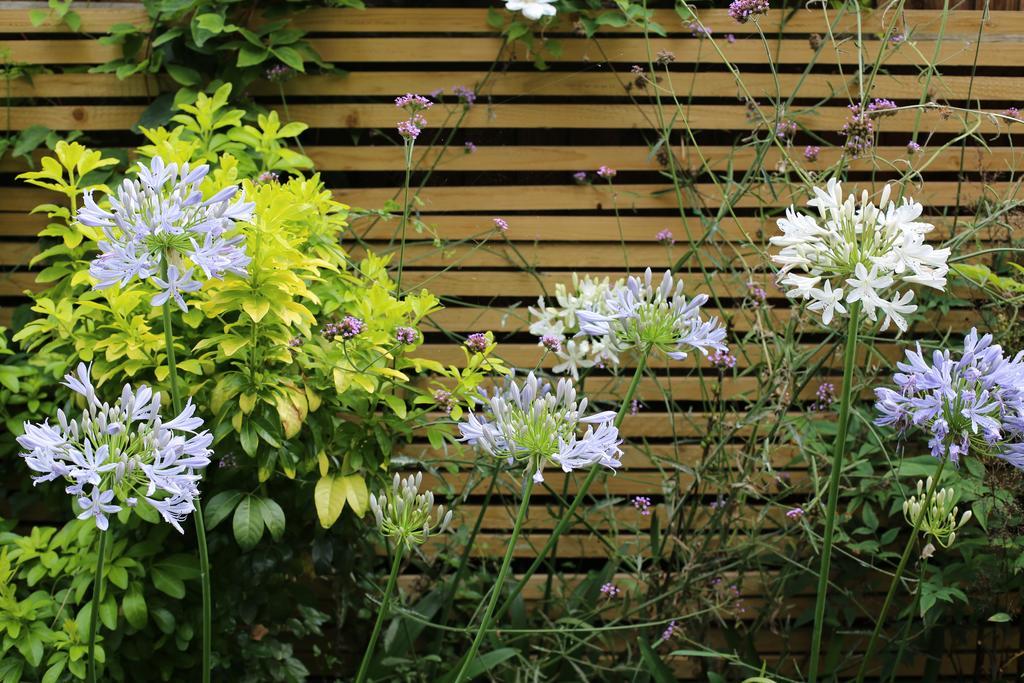 Shoreditch 1 With Garden London Bilik gambar